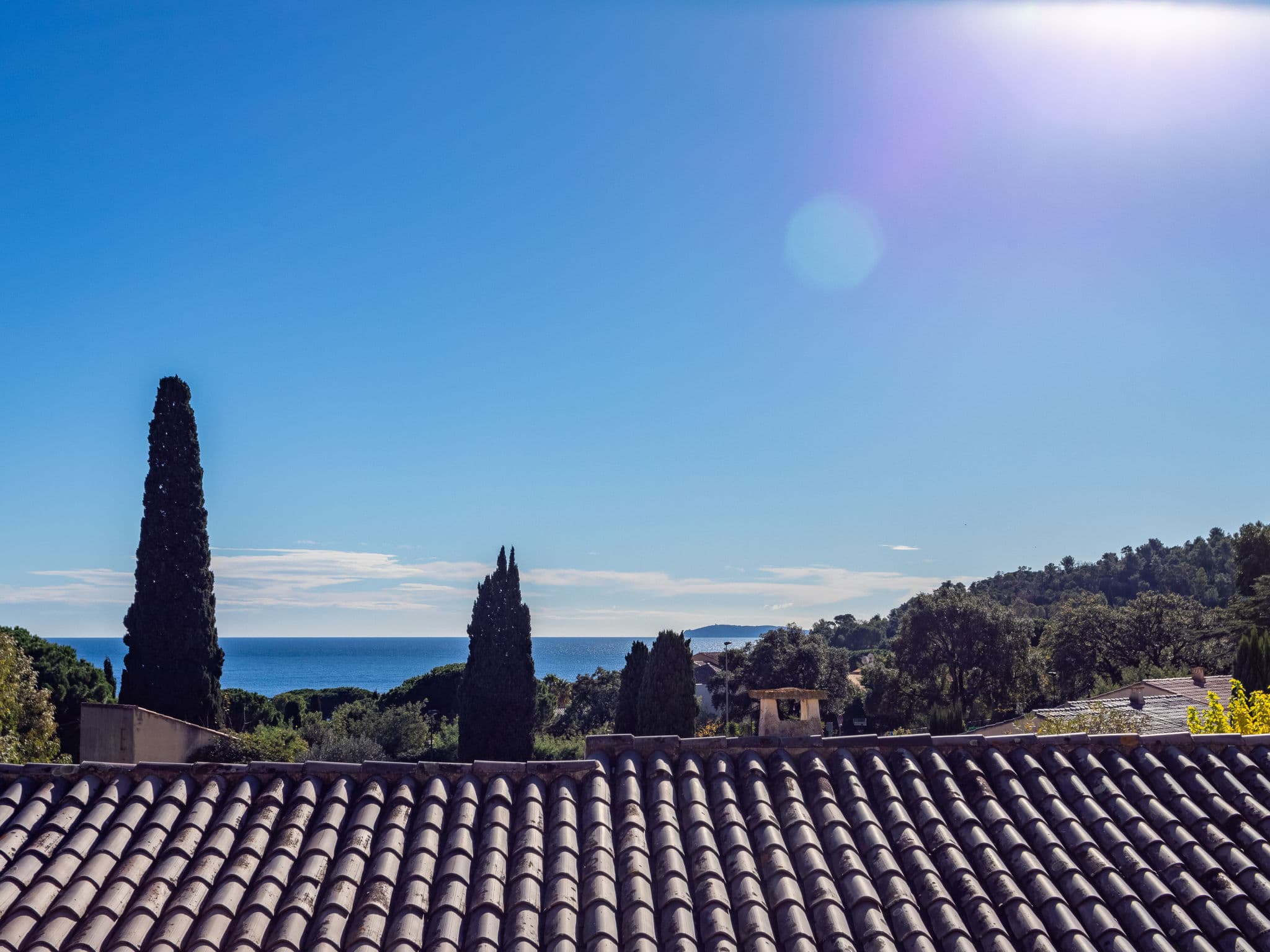 View