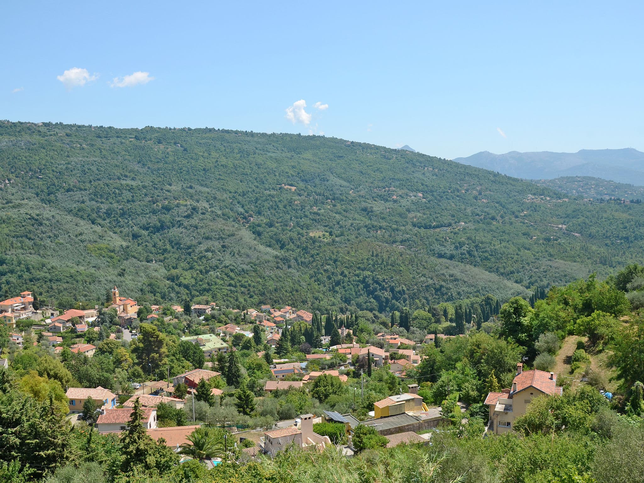 View