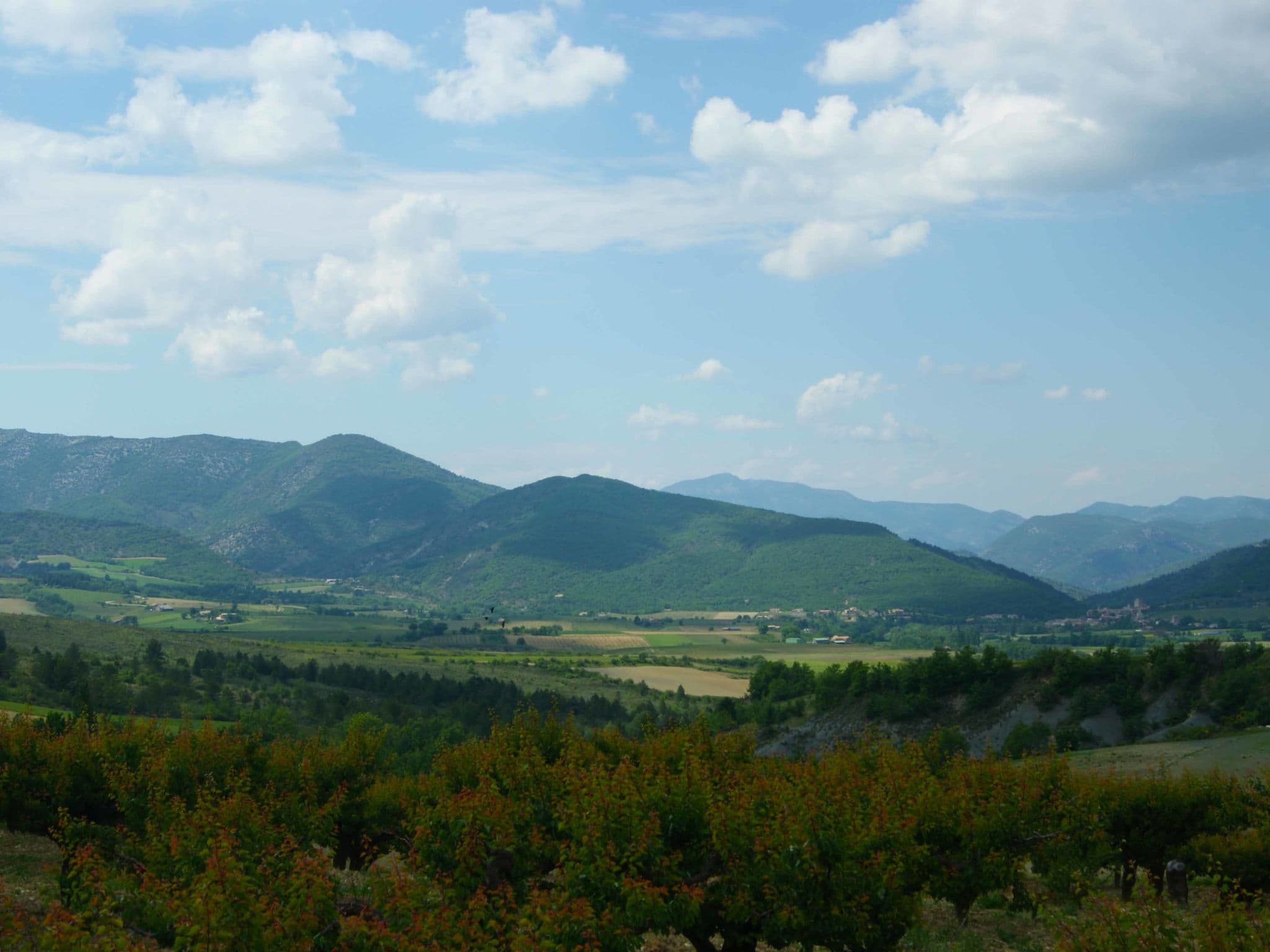 View