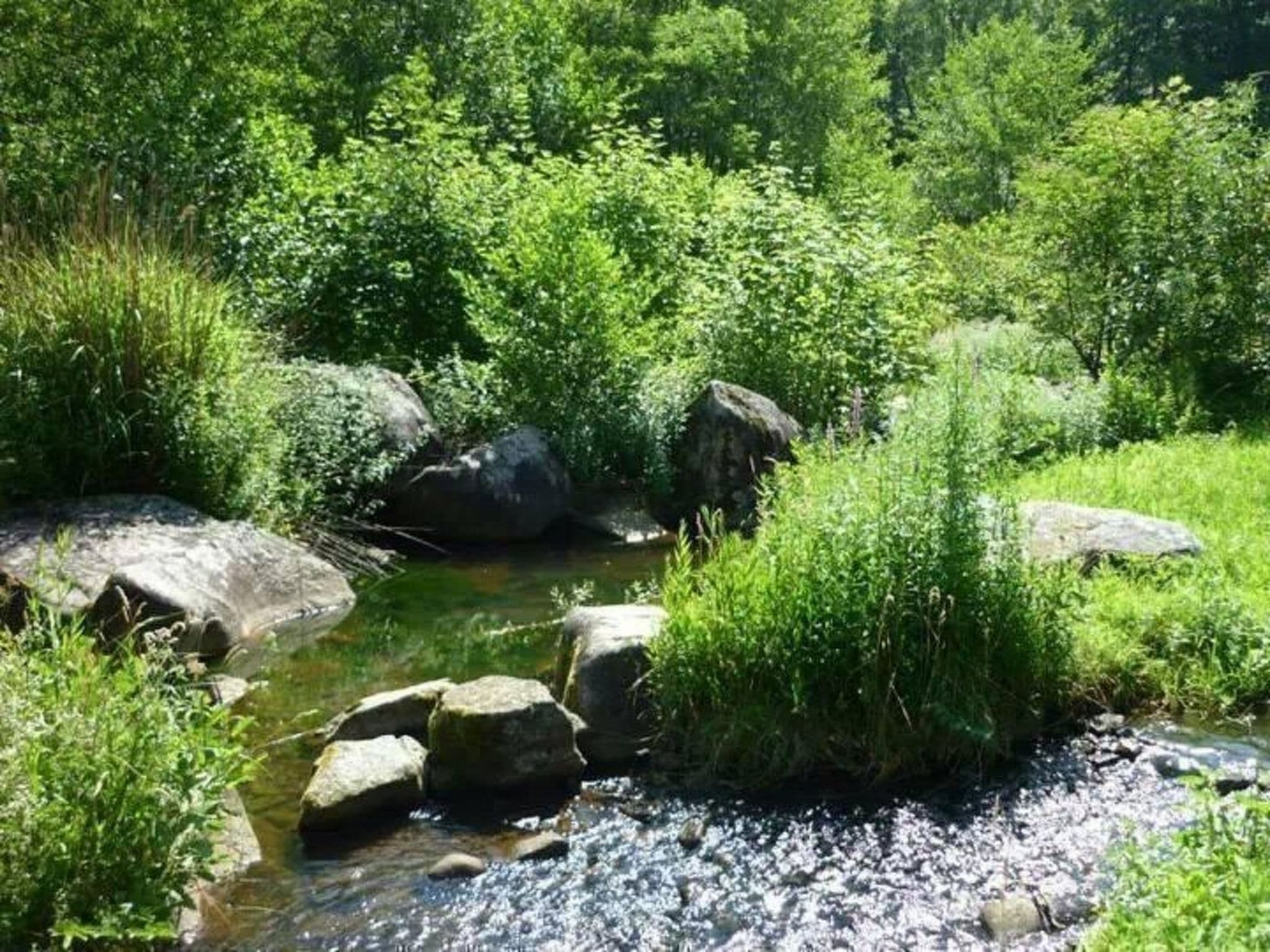Gallery Image 27
