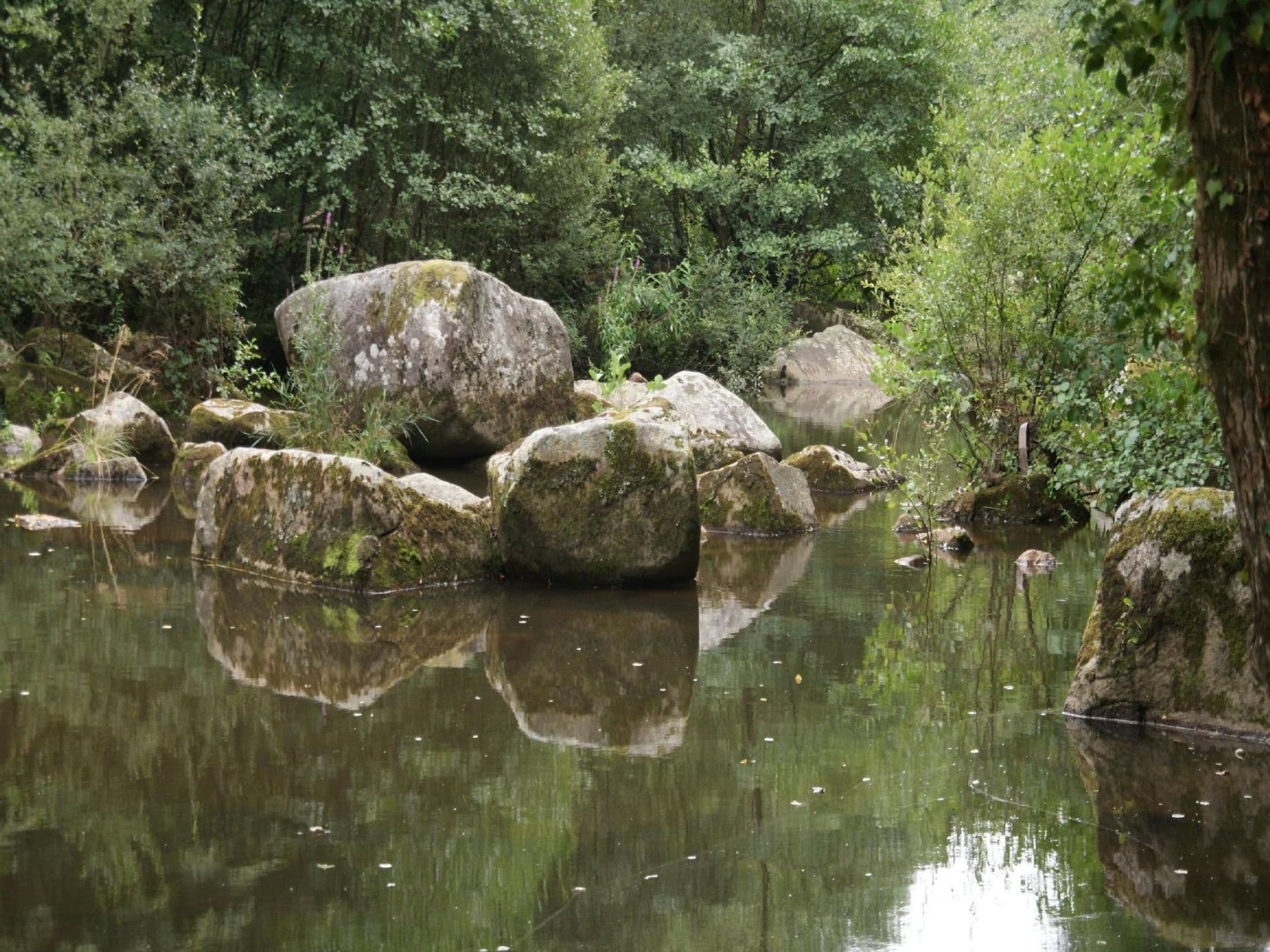 Gallery Image 28