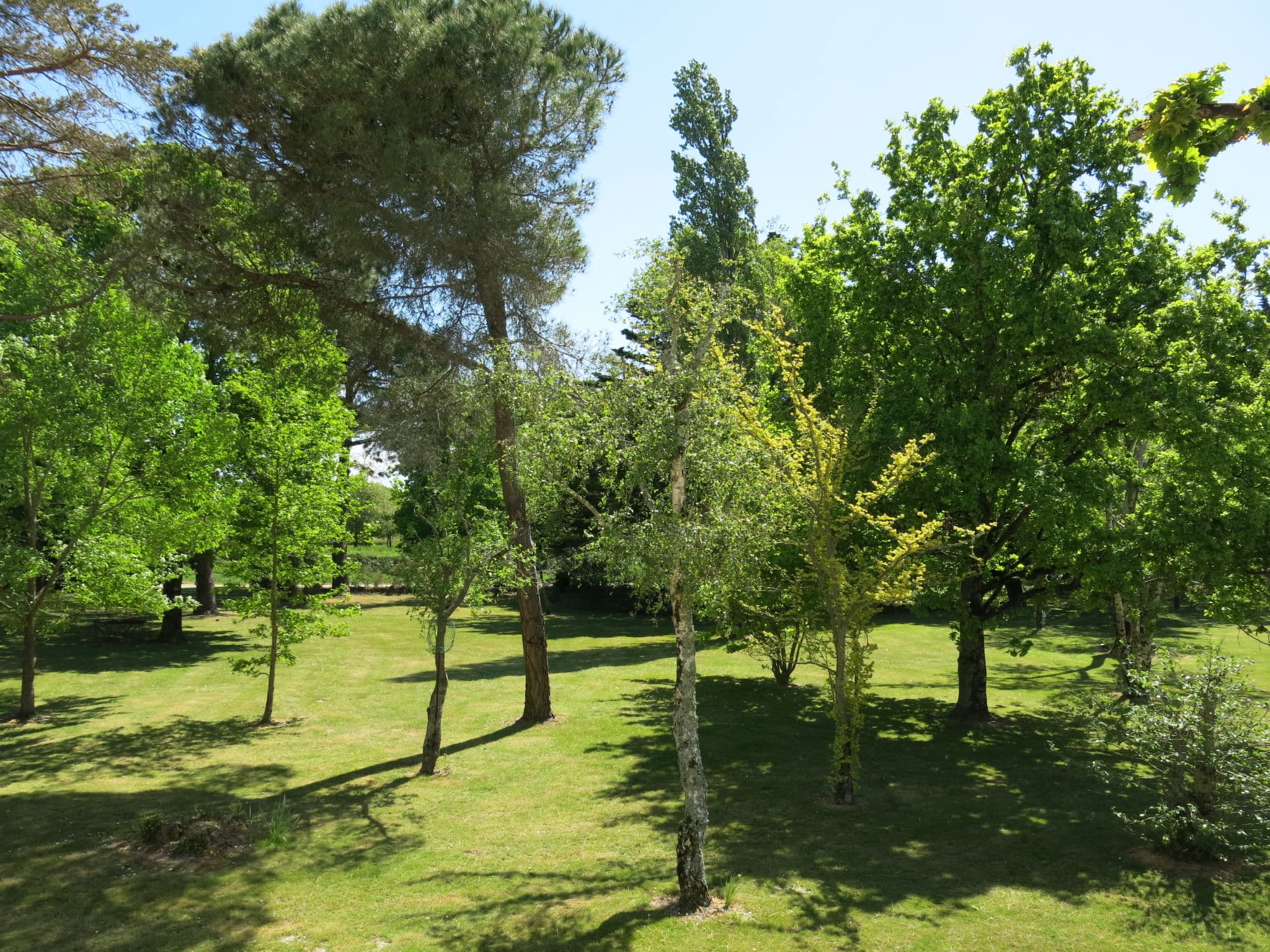 Outdoor