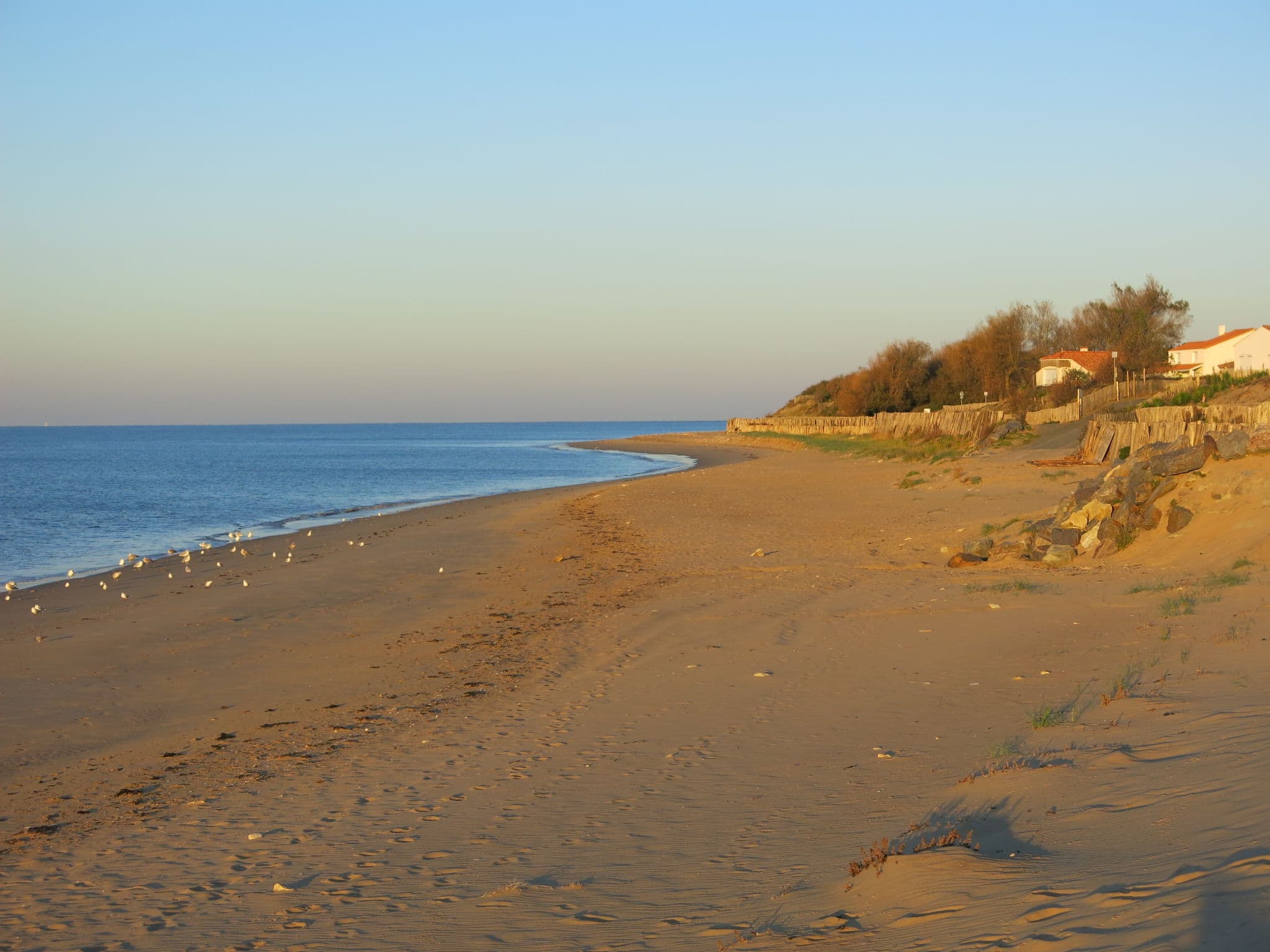 Beach