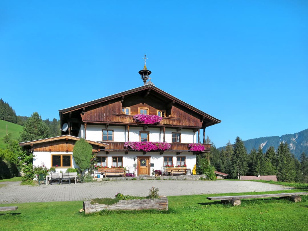 Large Image
