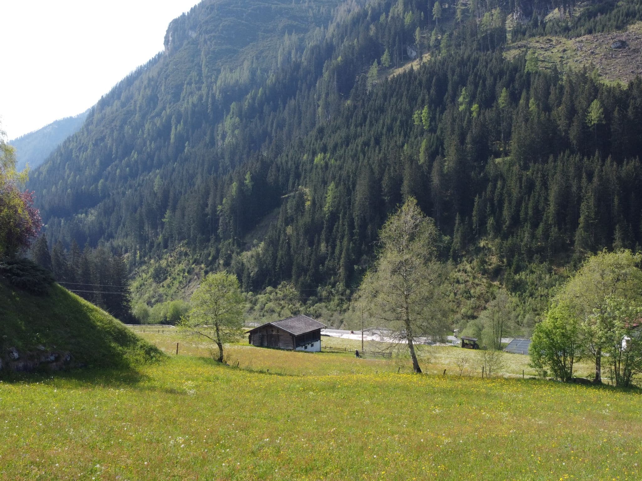 View