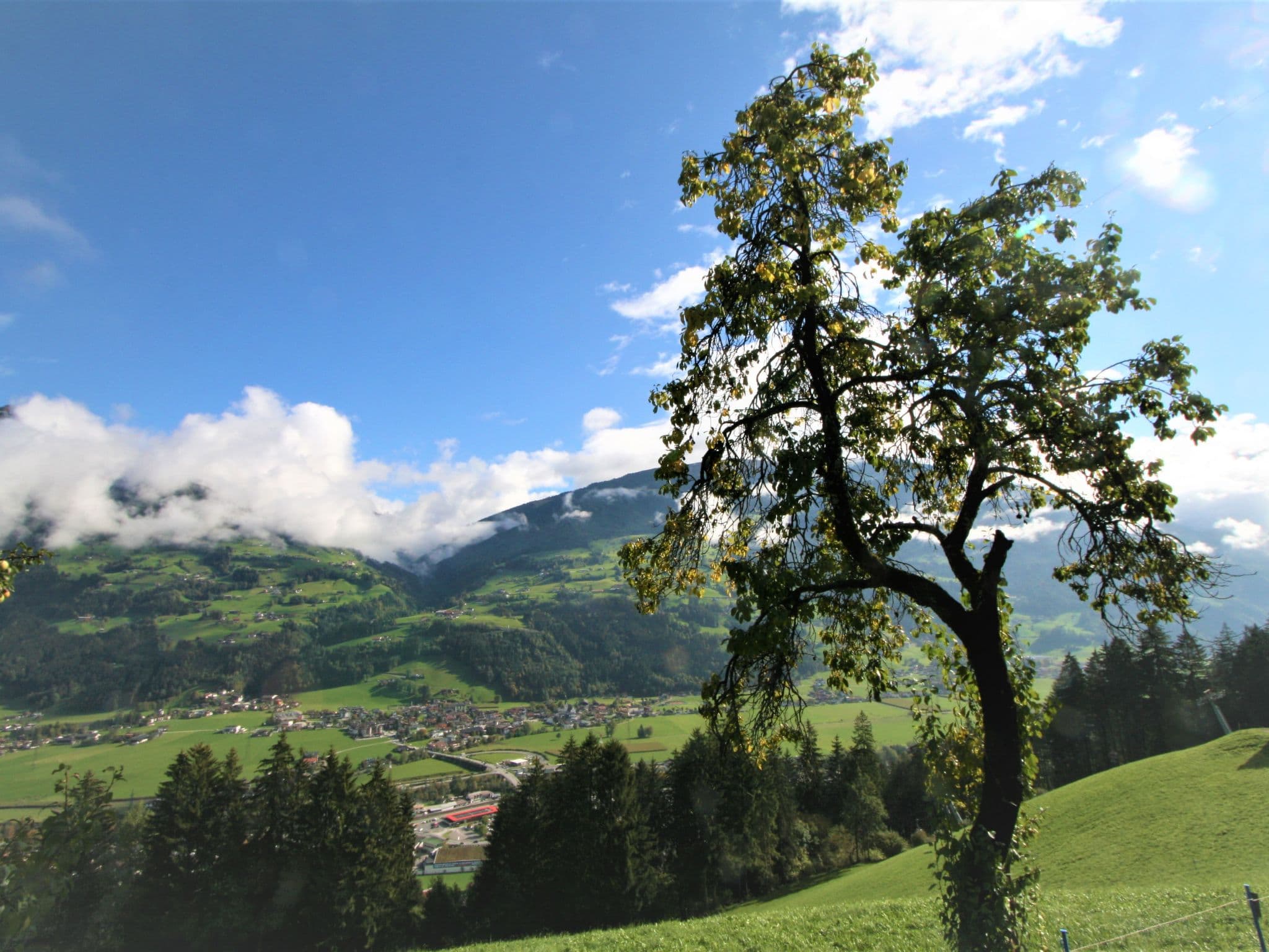 View
