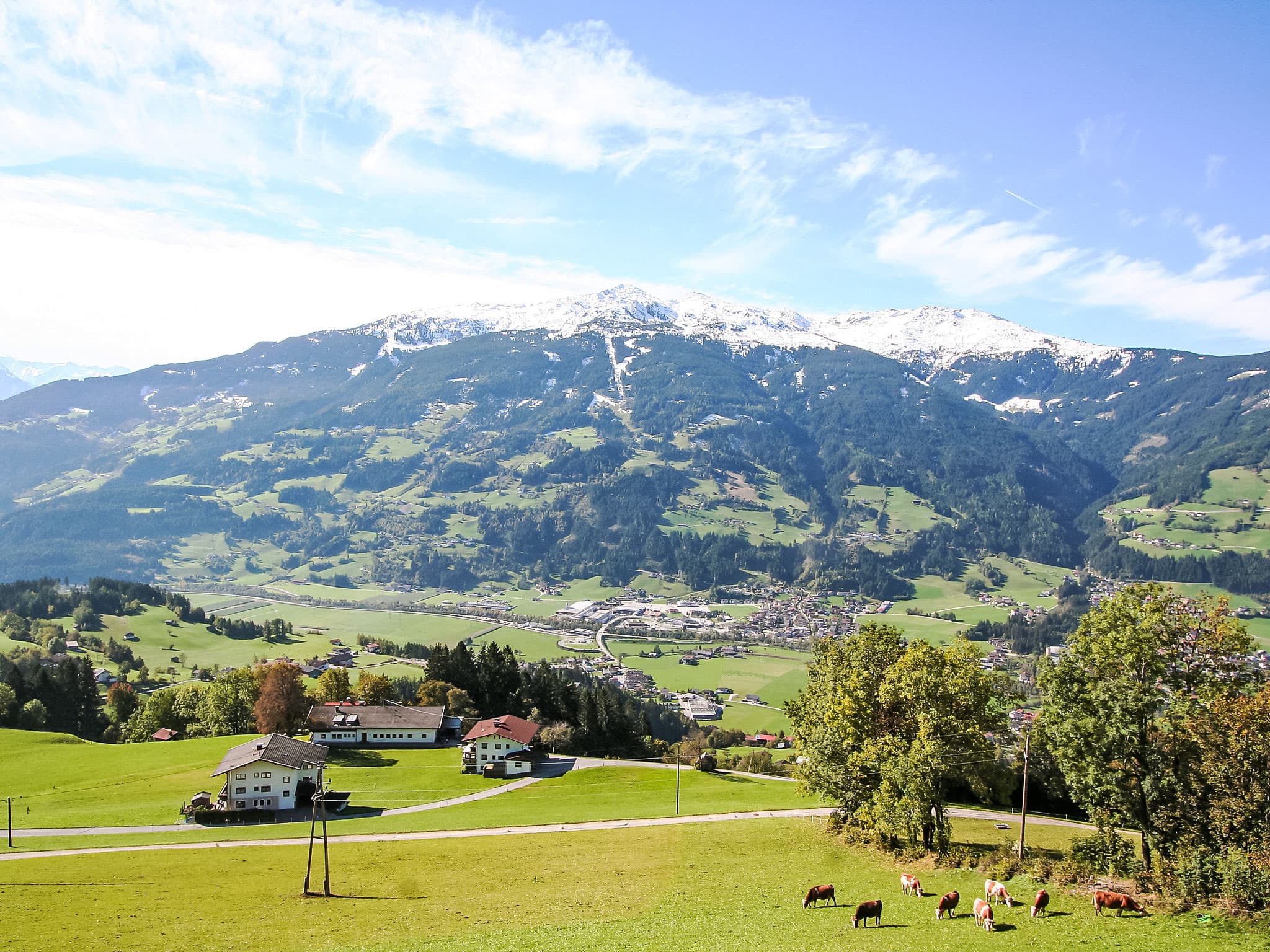View