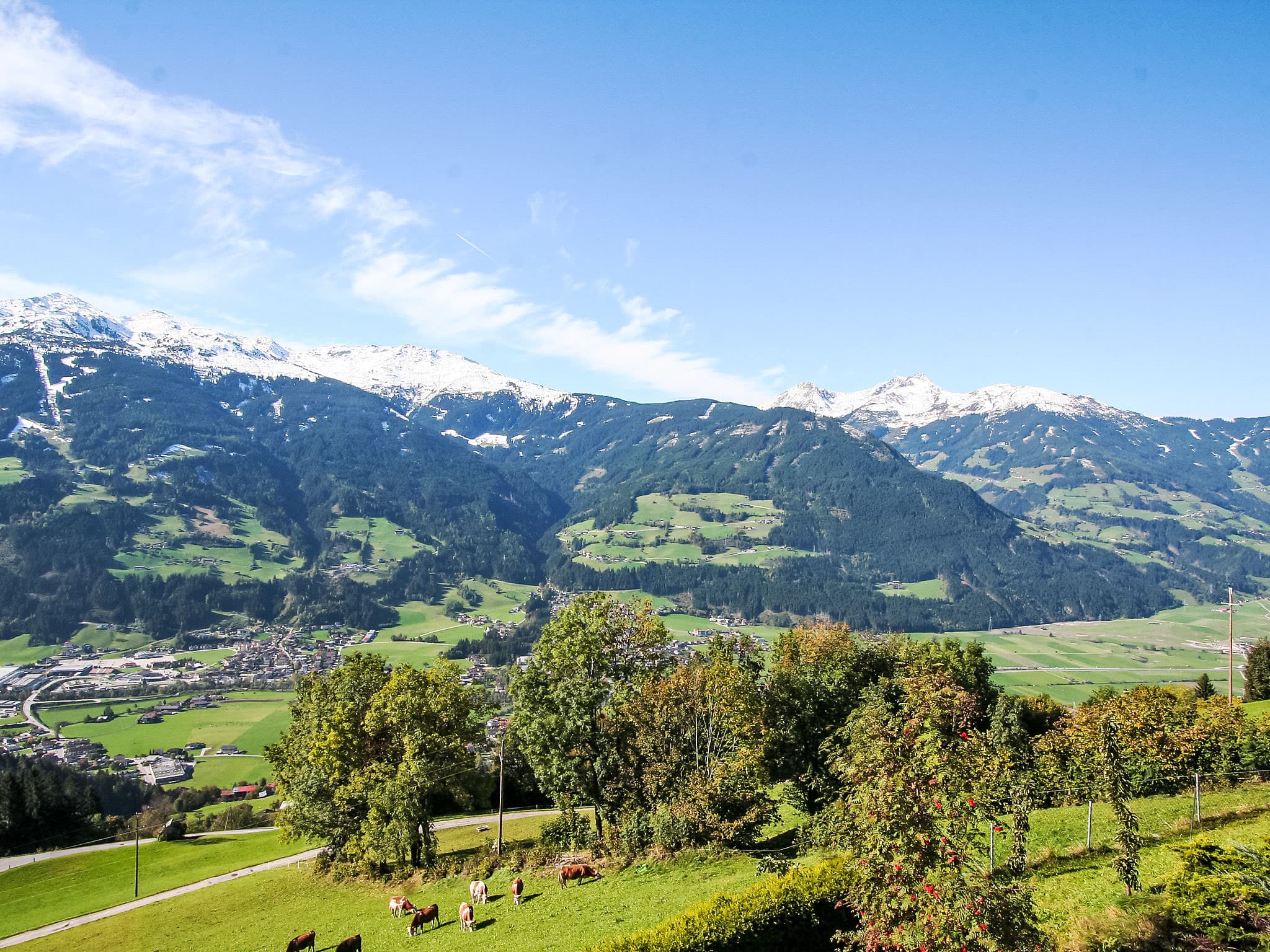 View