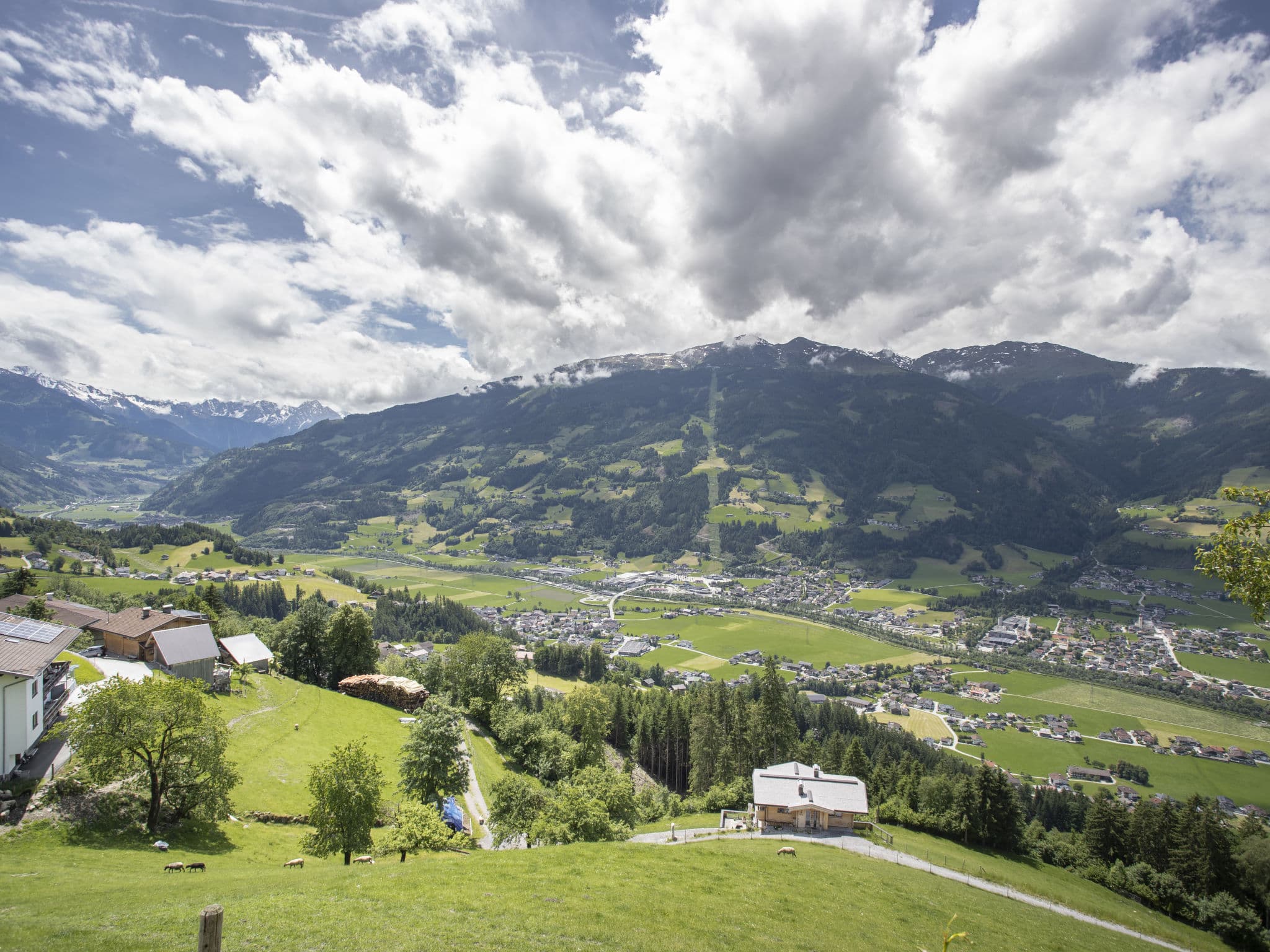 View
