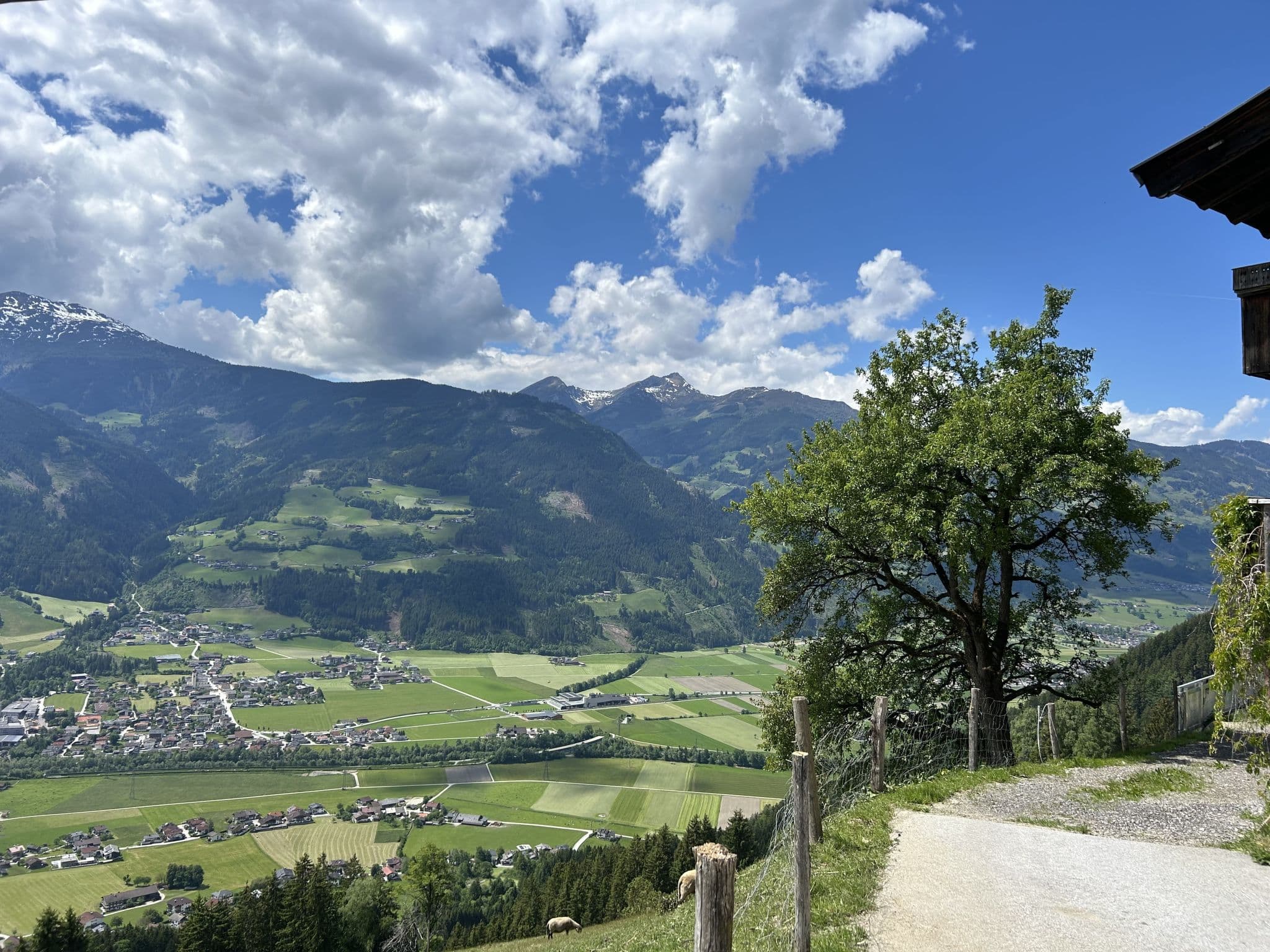 View
