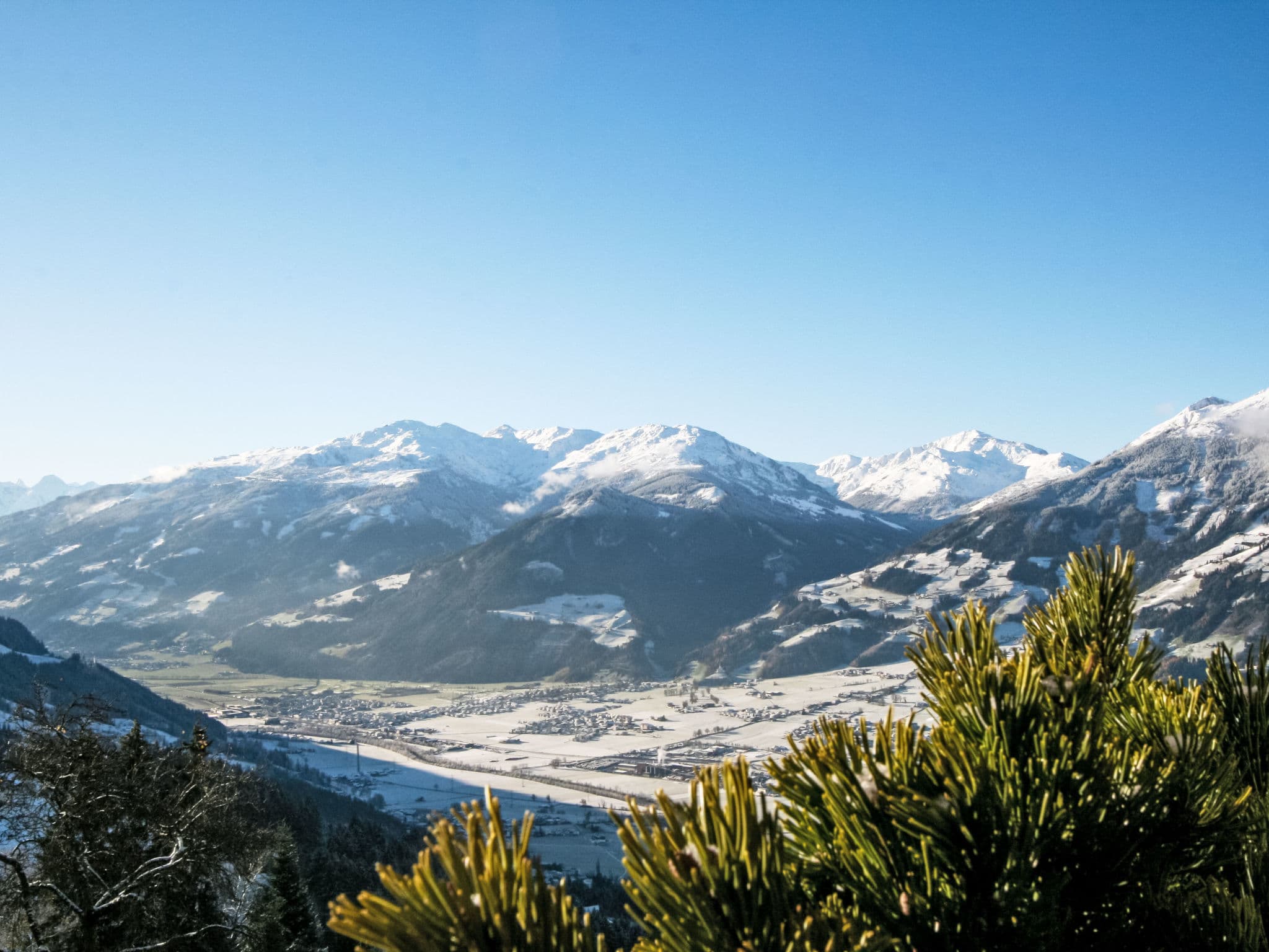 View