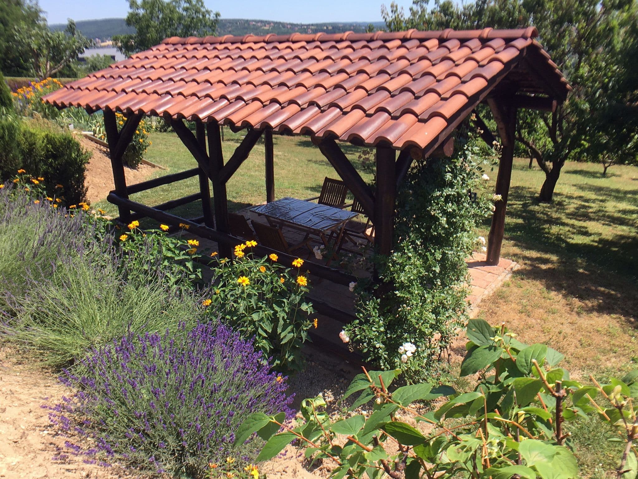 Gallery Image 12