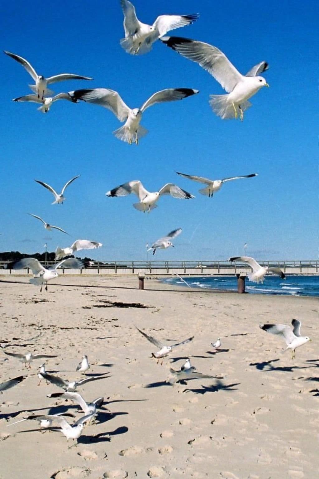 Place