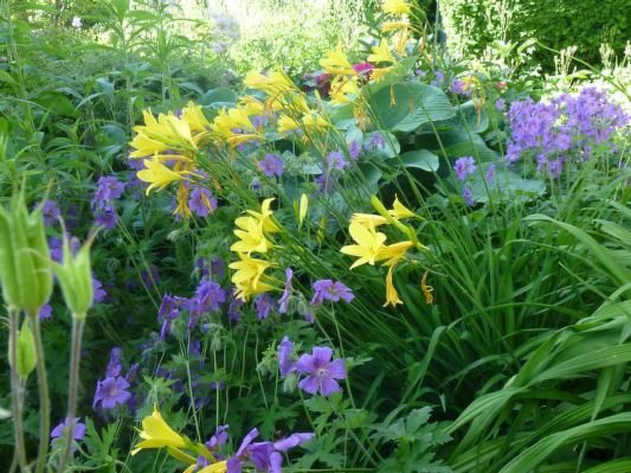 Gallery Image 15