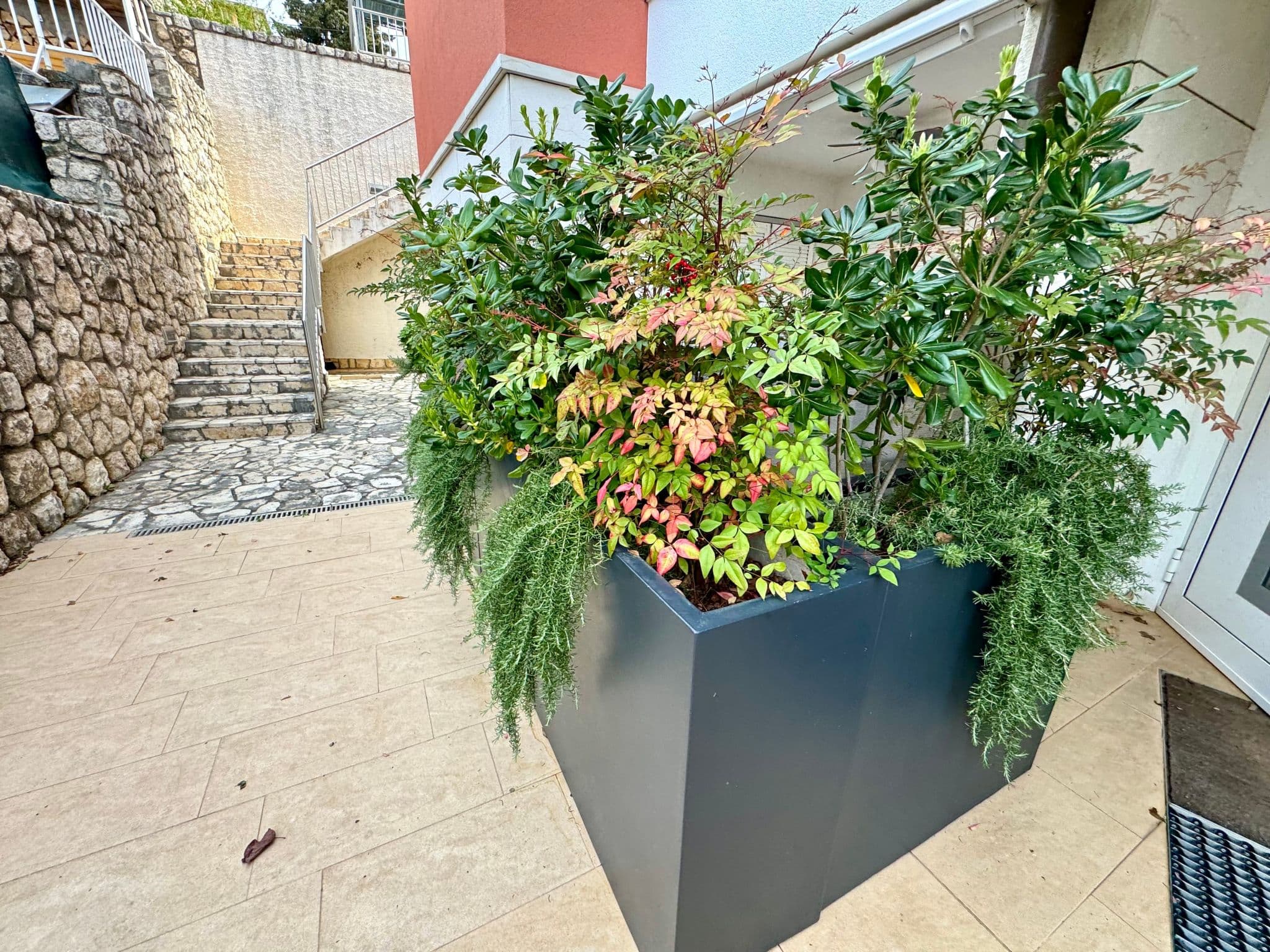 Gallery Image 11