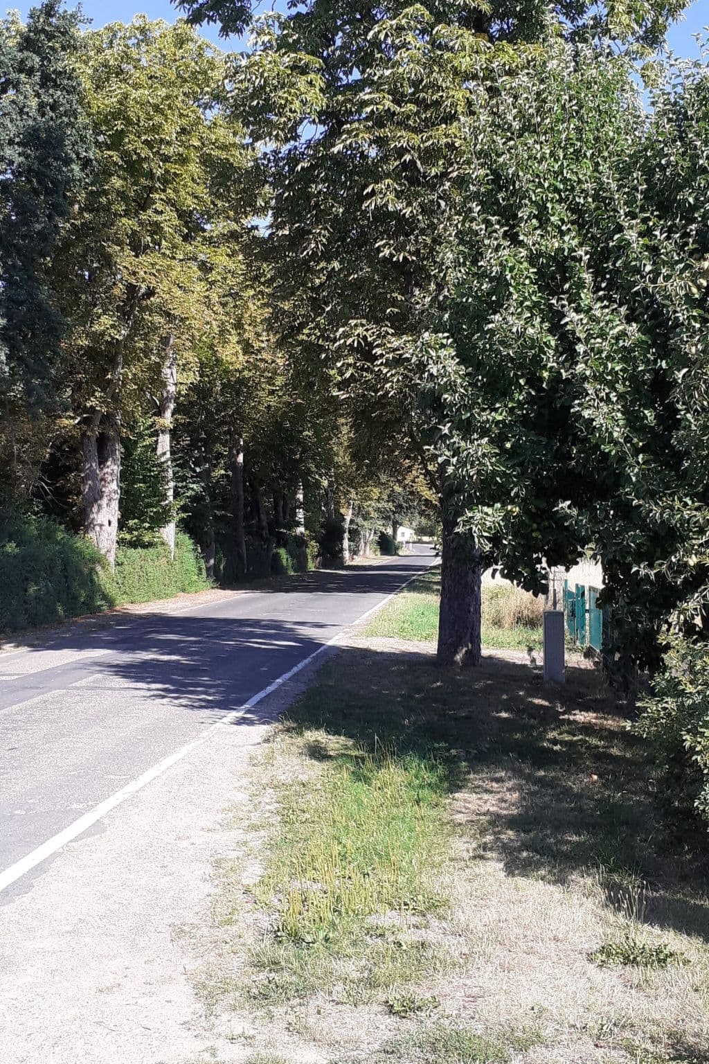Gallery Image 23