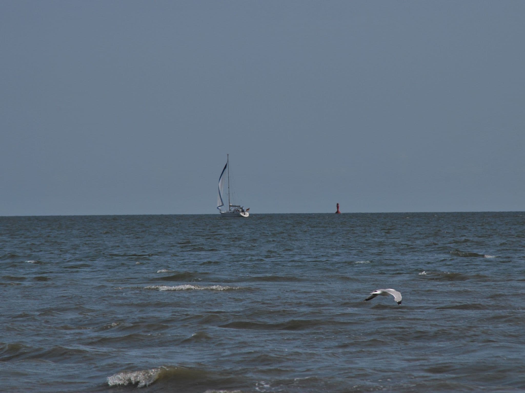 Gallery Image 19