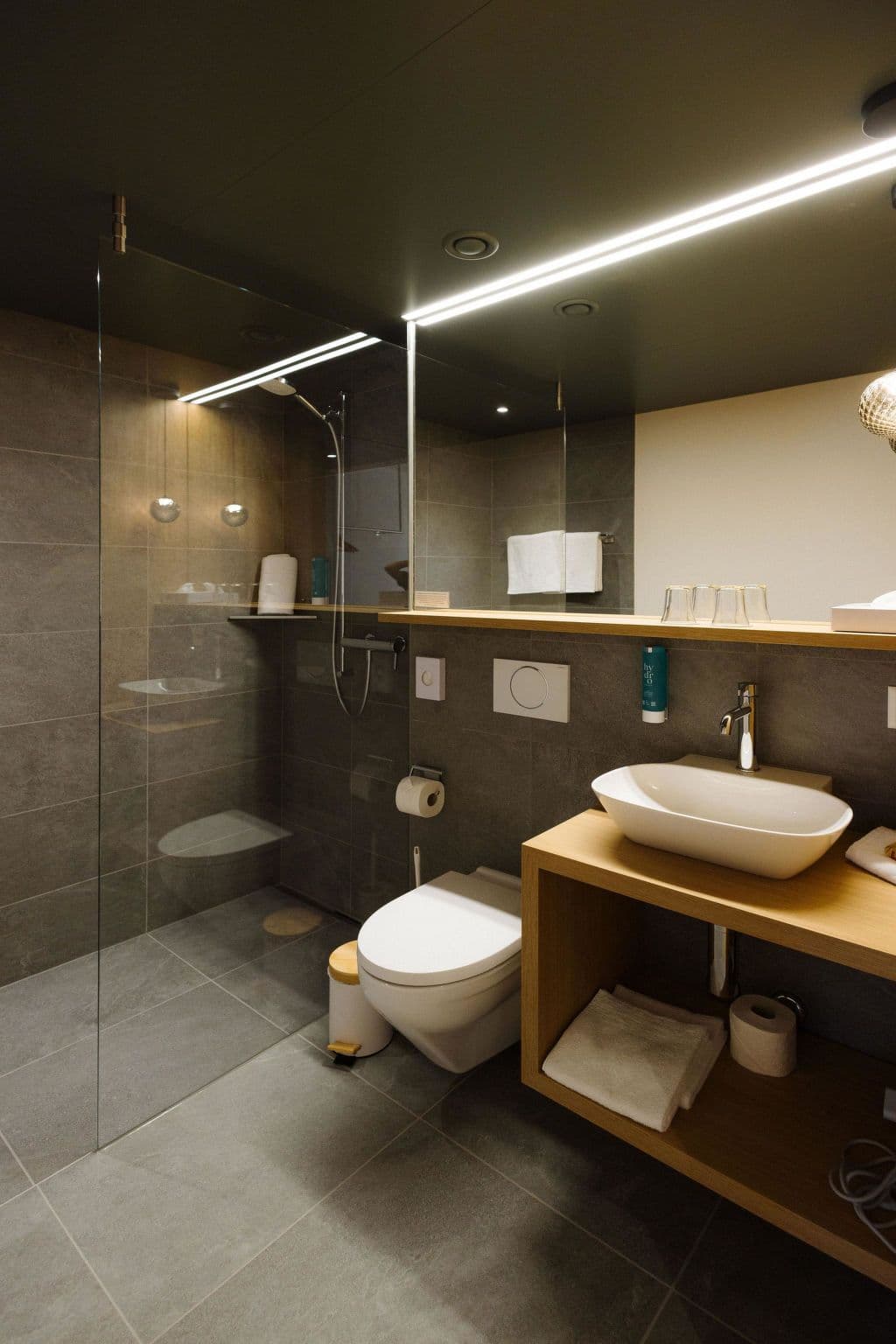 Bathroom / Wellness