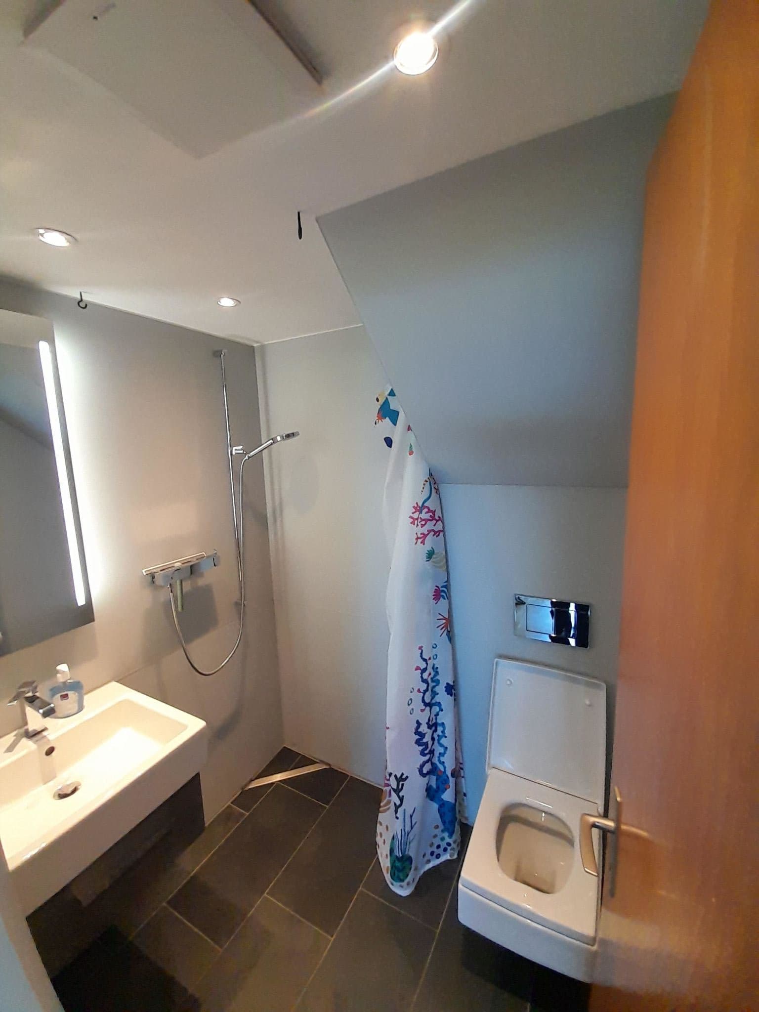 Bathroom / Wellness