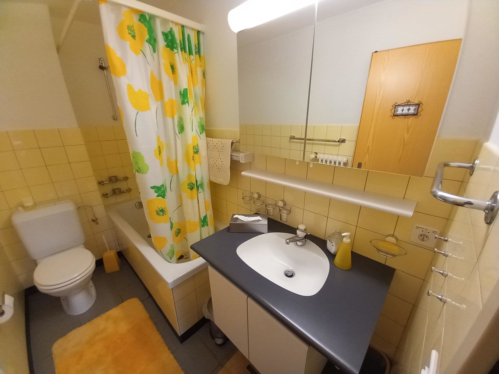 Bathroom / Wellness