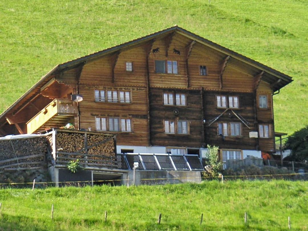 Large Image