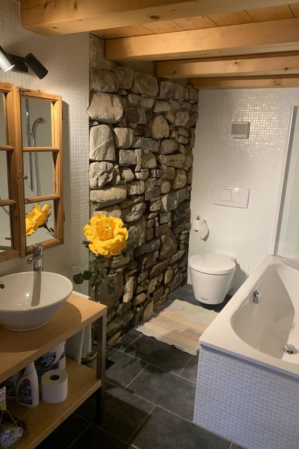 Bathroom / Wellness