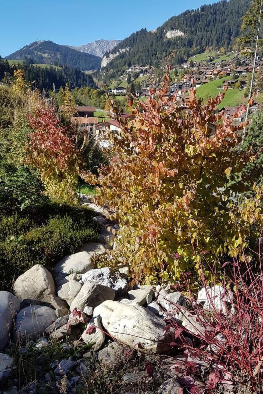 Gallery Image 13