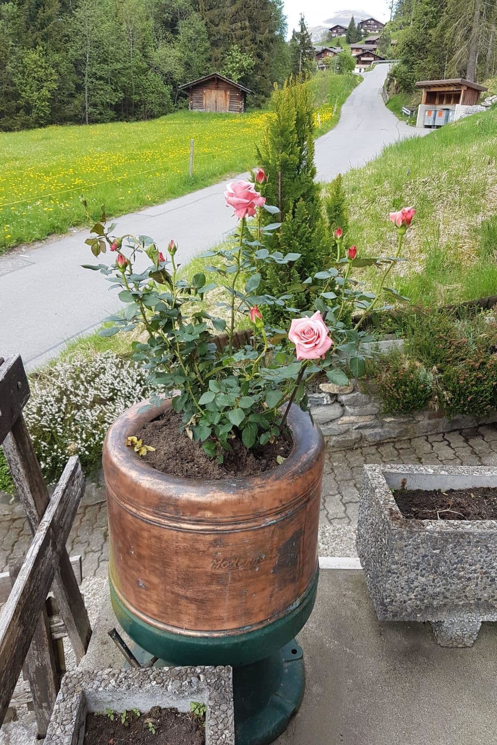 Gallery Image 17