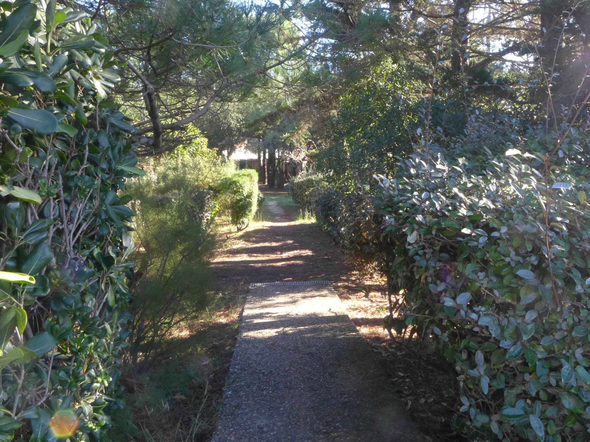 Outdoor