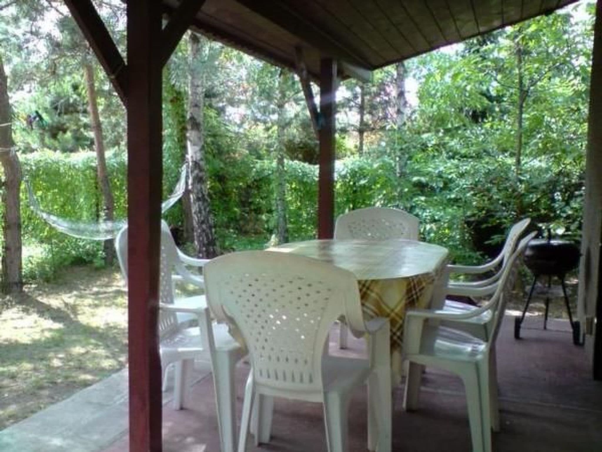 Gallery Image 20