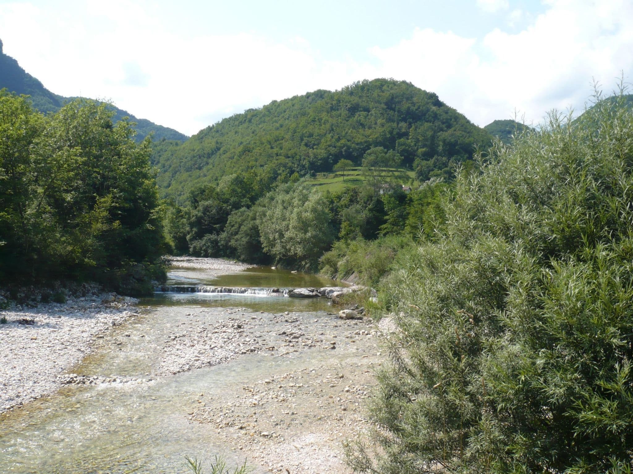 Gallery Image 51