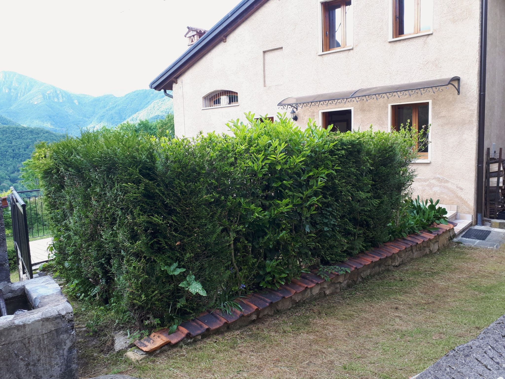 Gallery Image 58