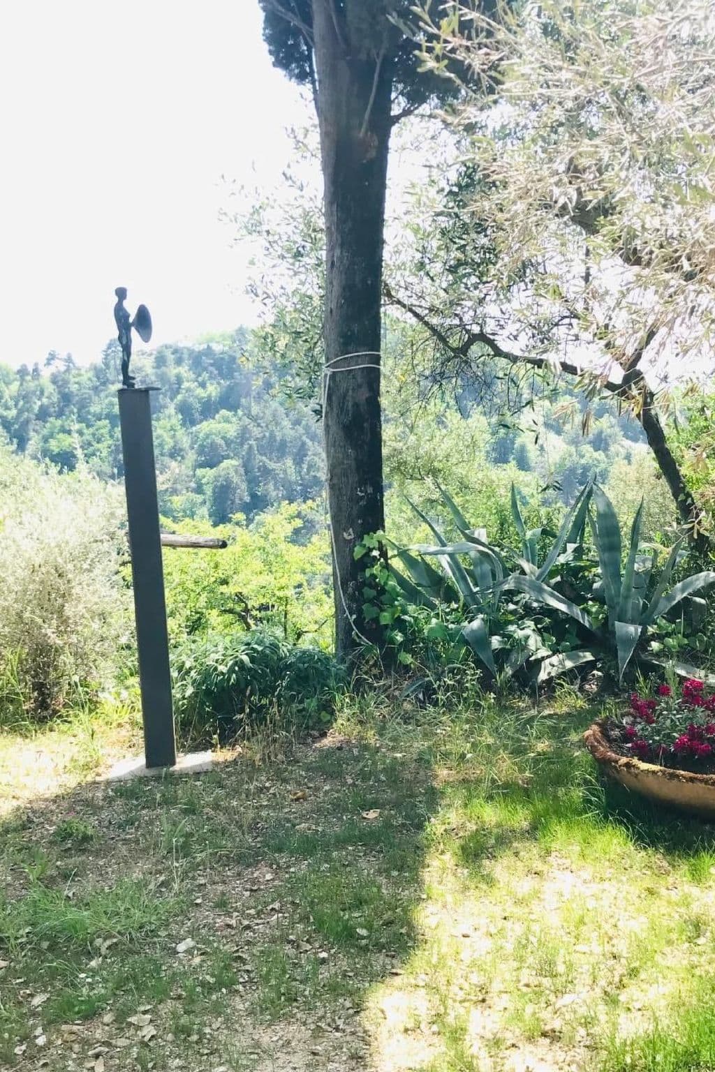 Gallery Image 17