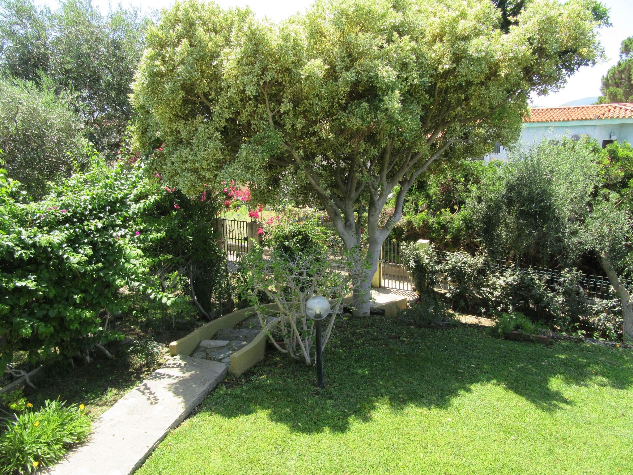 Gallery Image 20