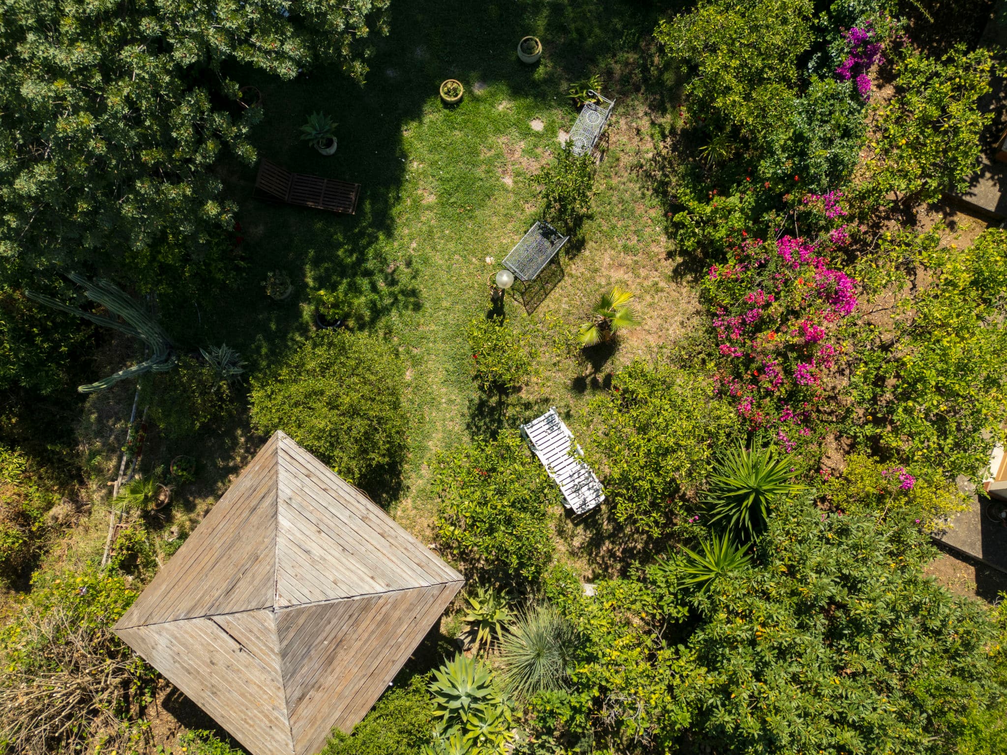 Aerial photography
