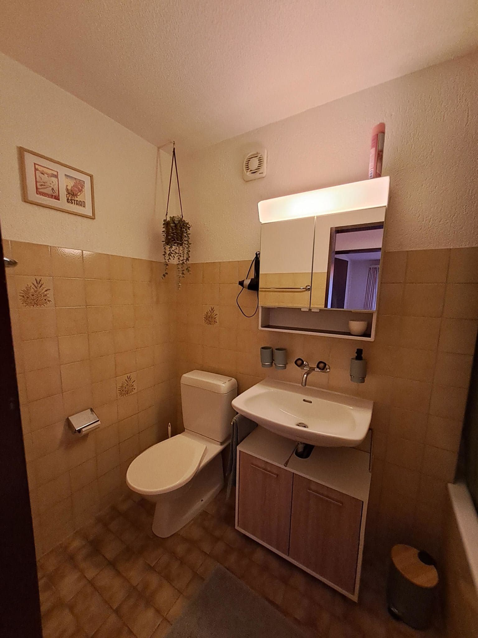 Gallery Image 20