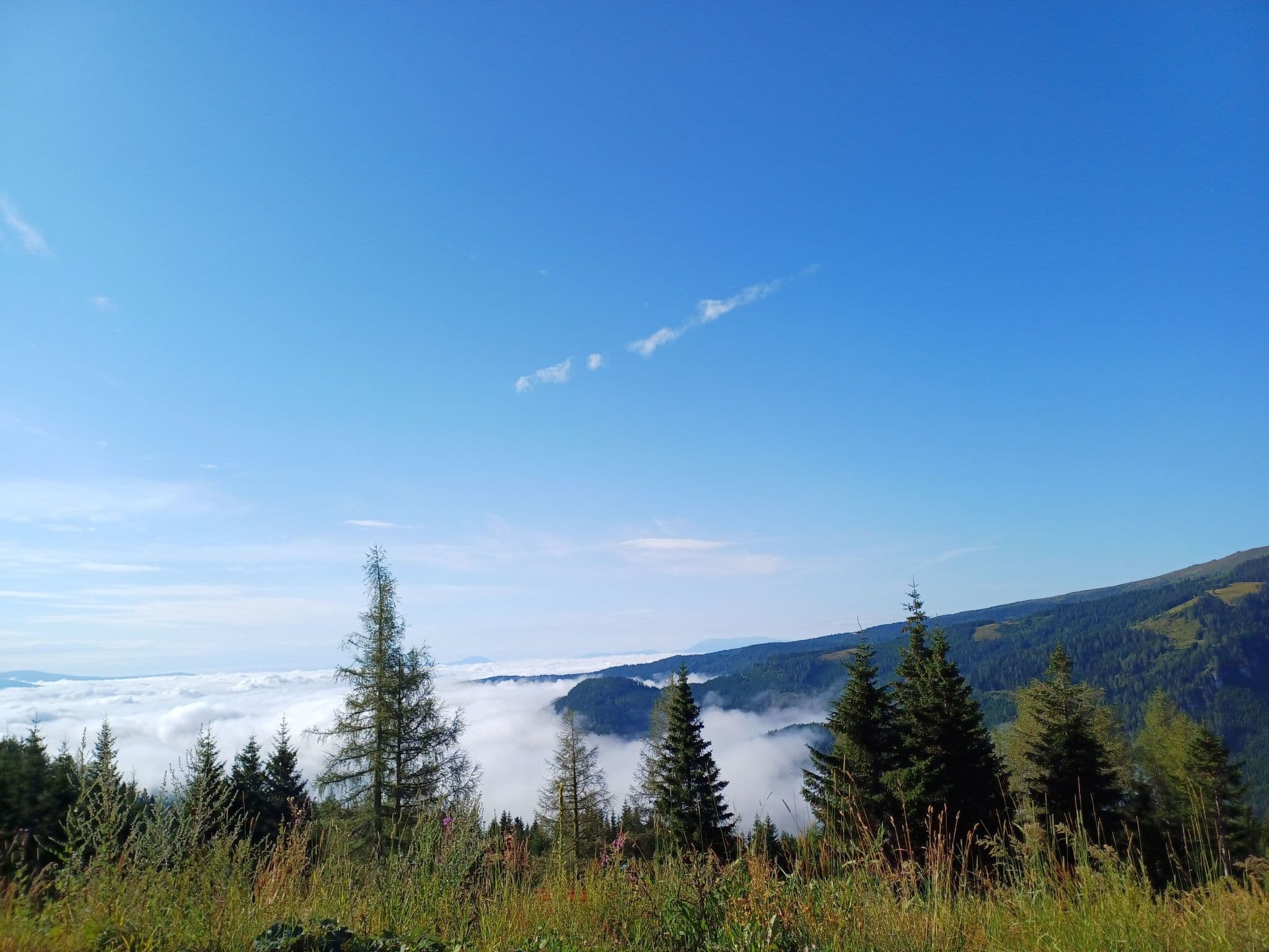 View
