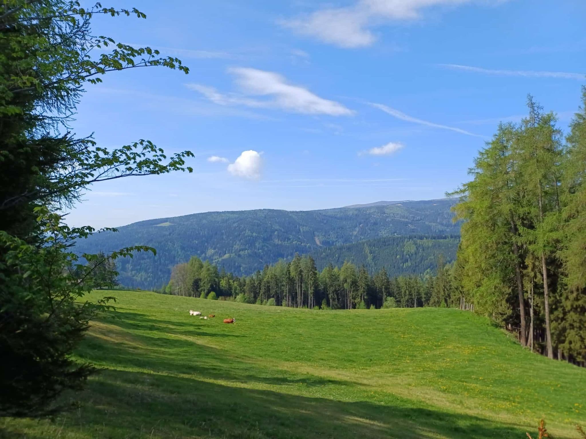 View