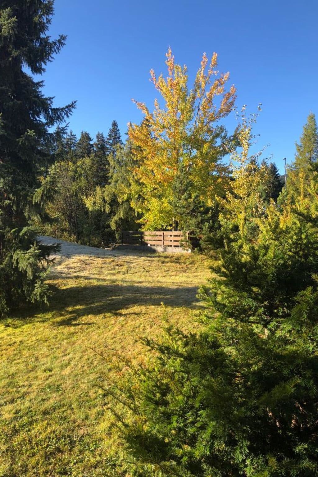 Gallery Image 16