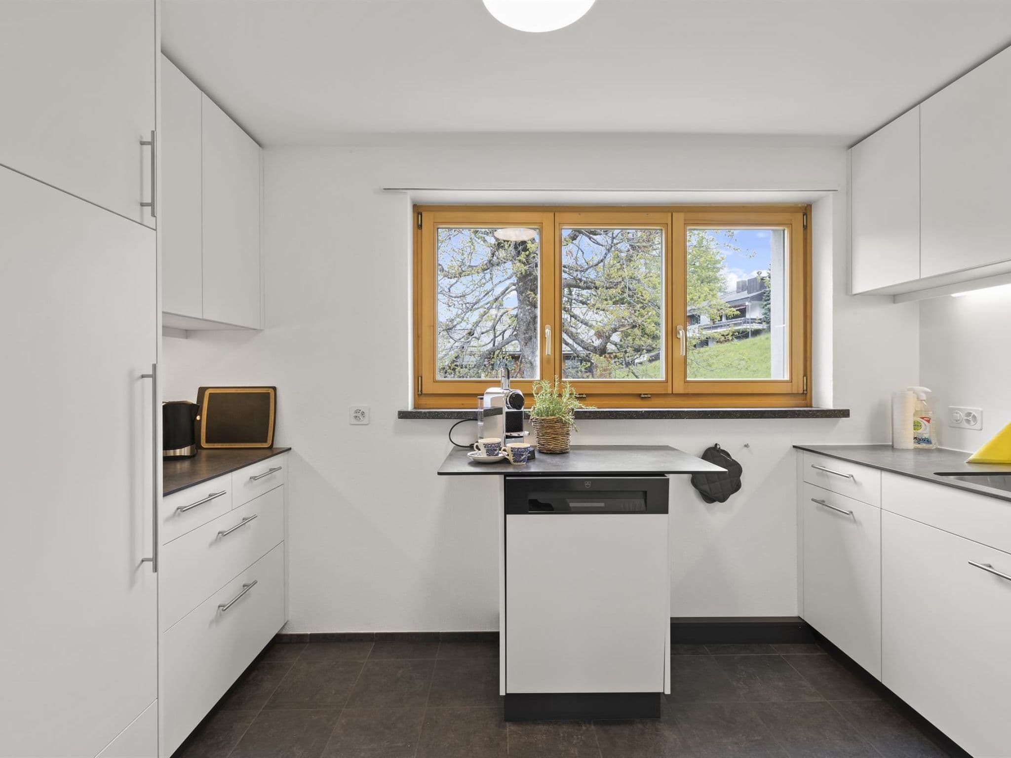 Gallery Image 15