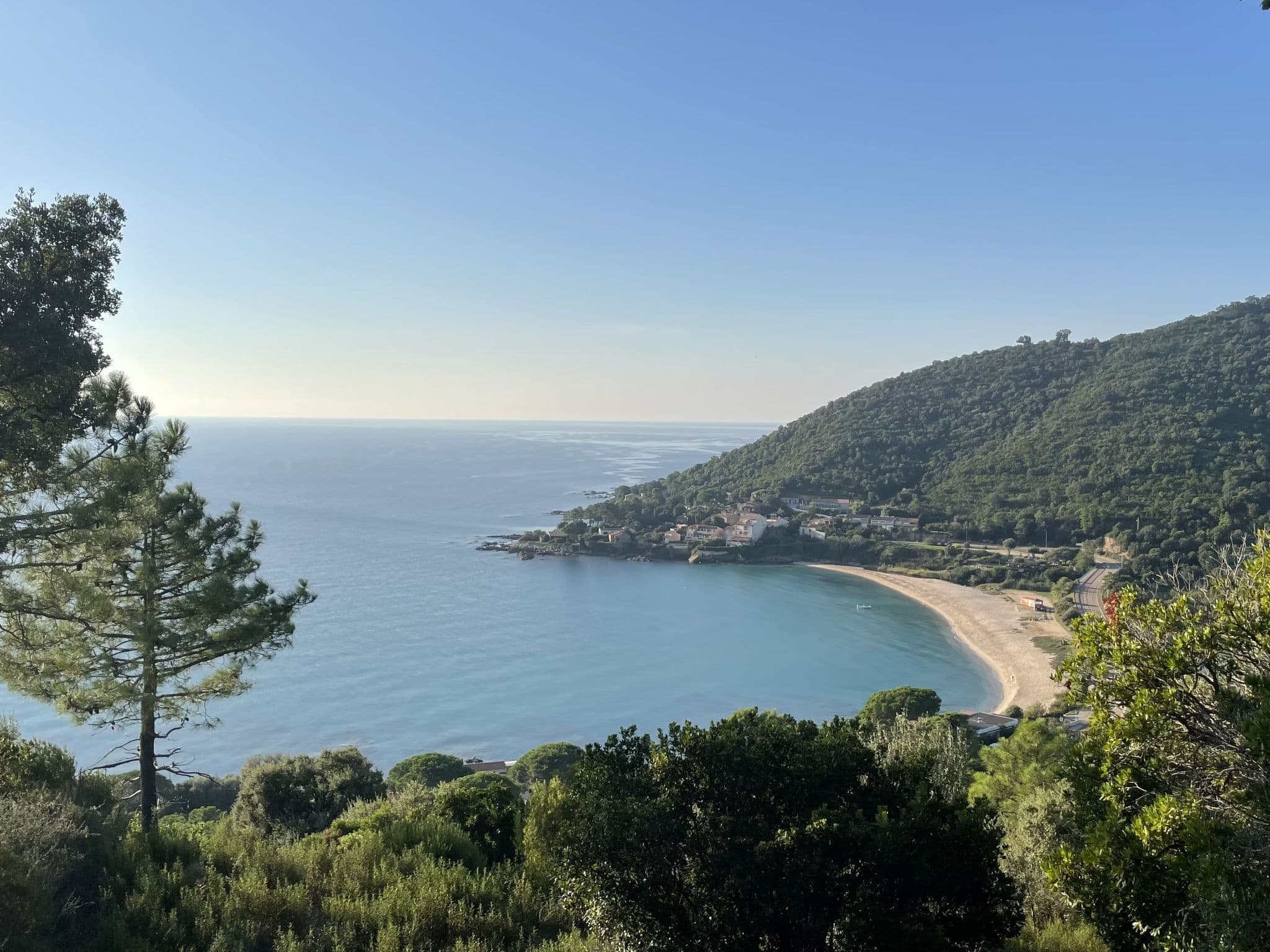 View