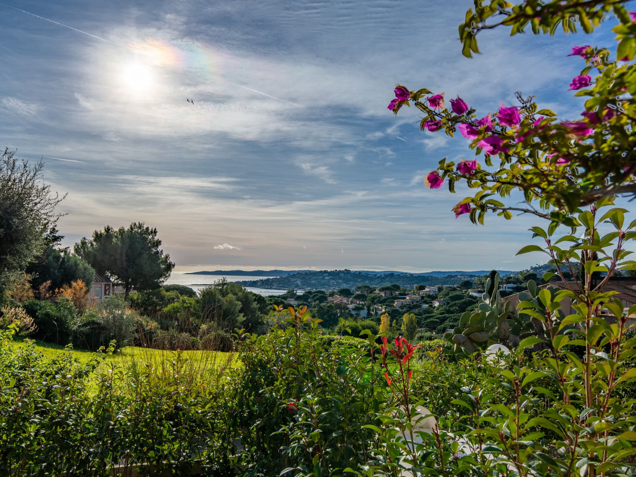 View