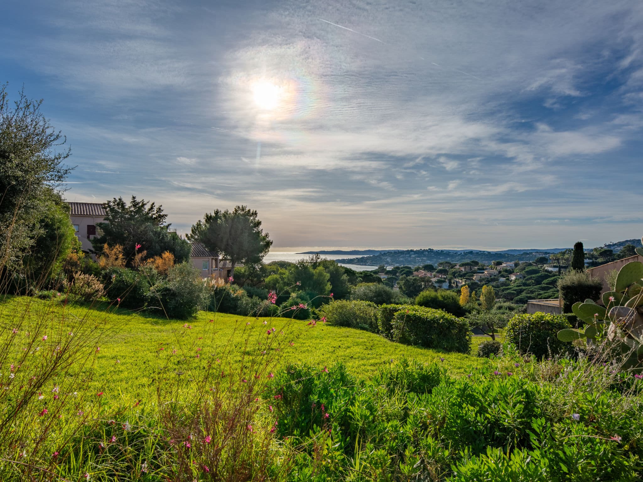 View