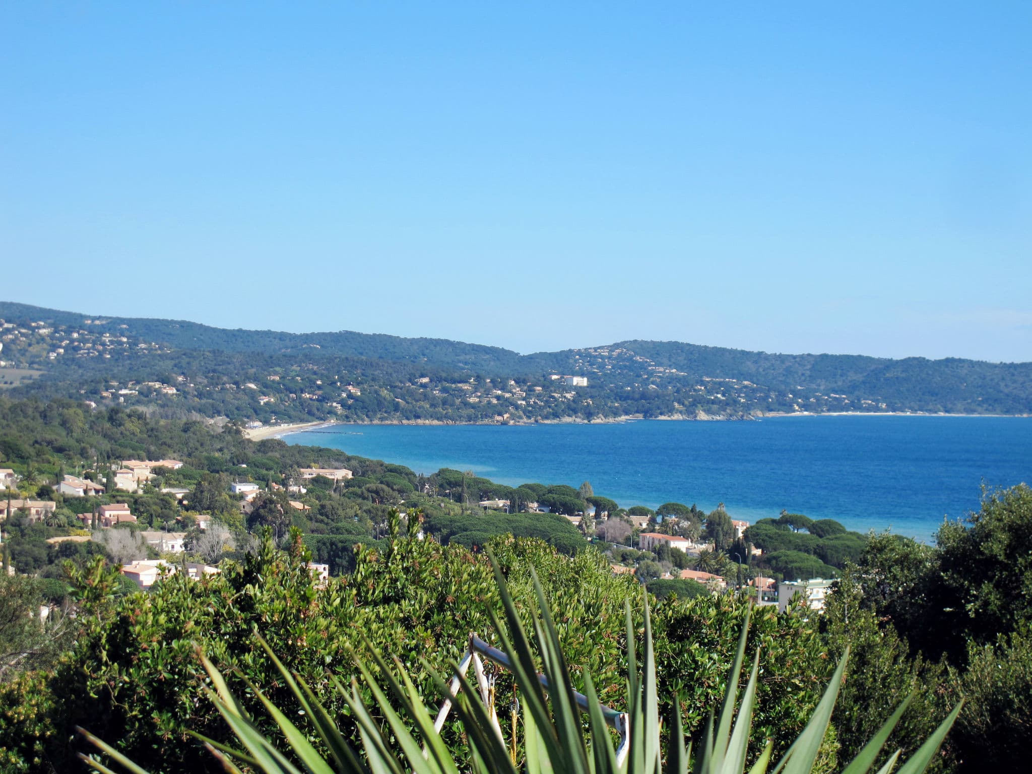 View