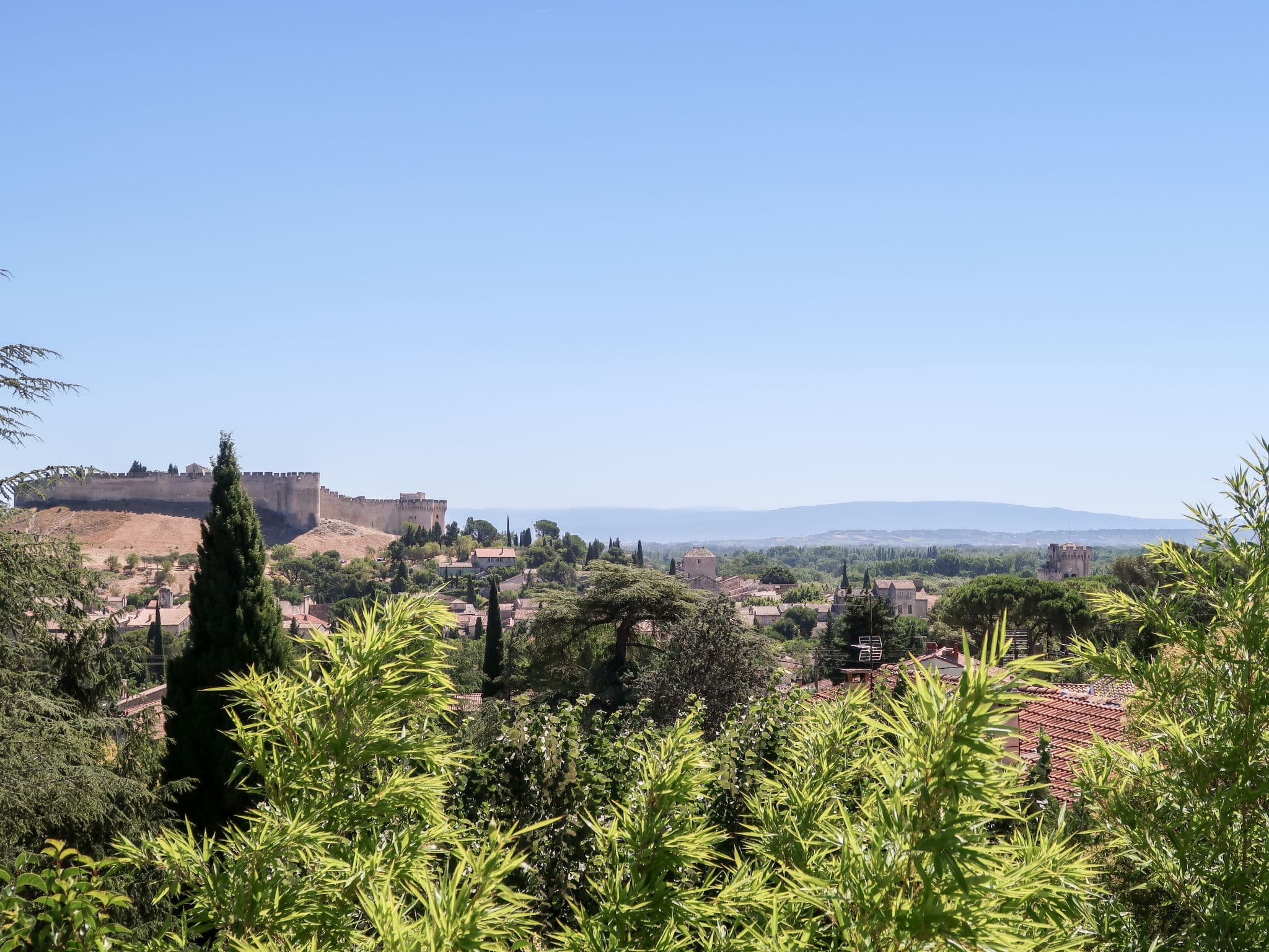 View