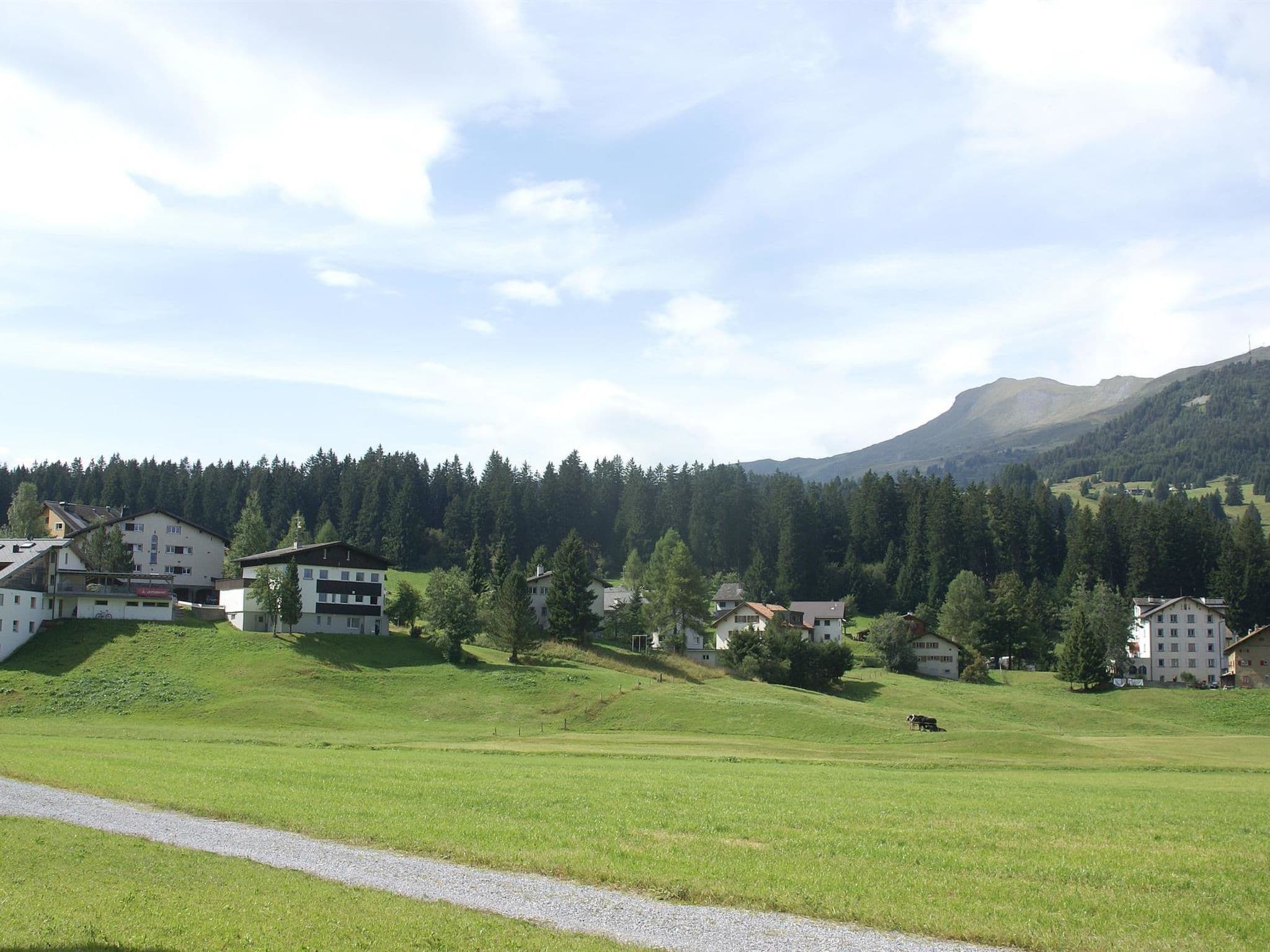 Gallery Image 21