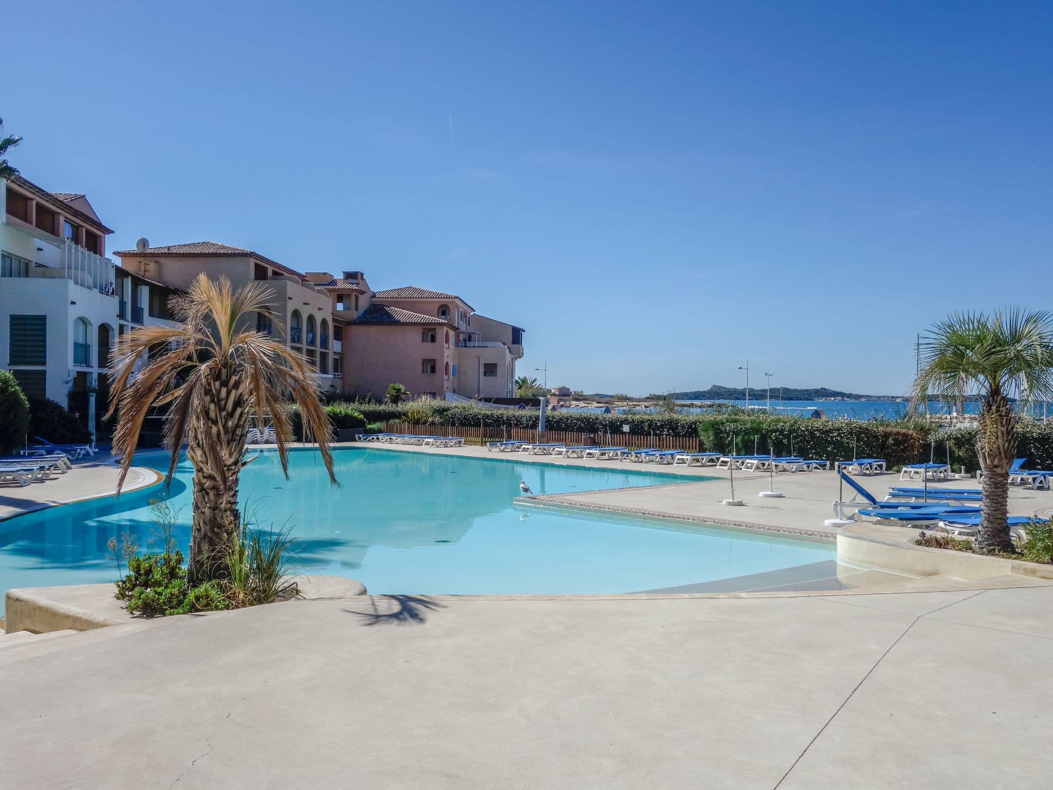 Pool Outdoor
