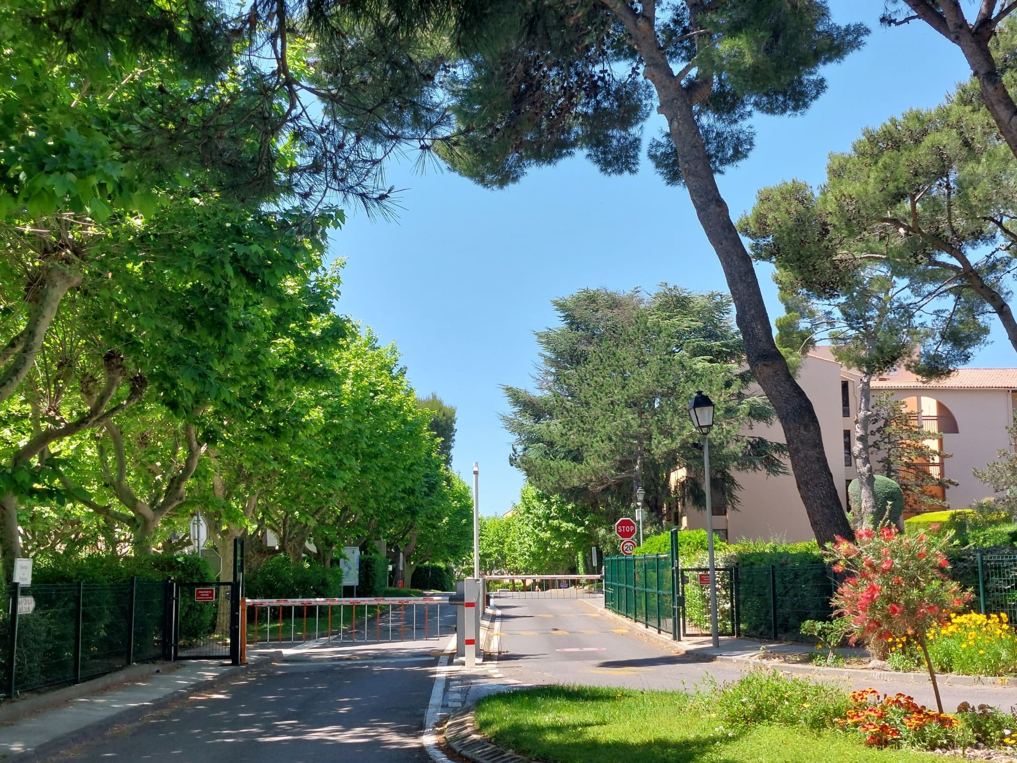 Community