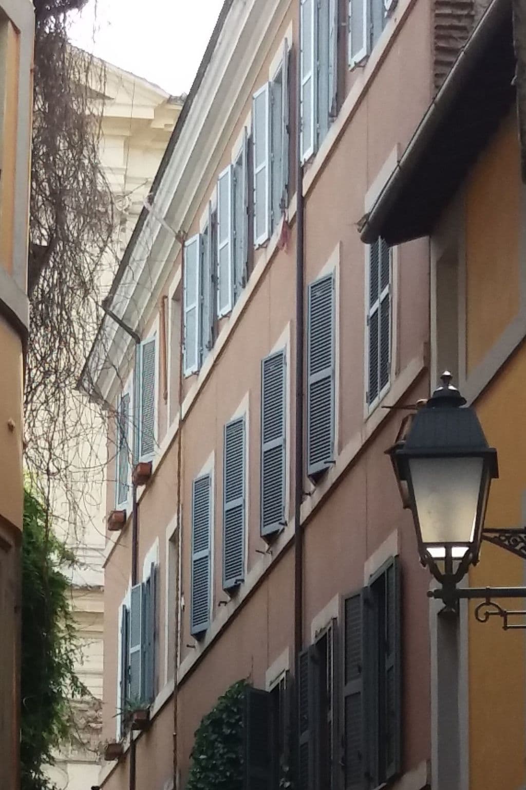 Gallery Image 17