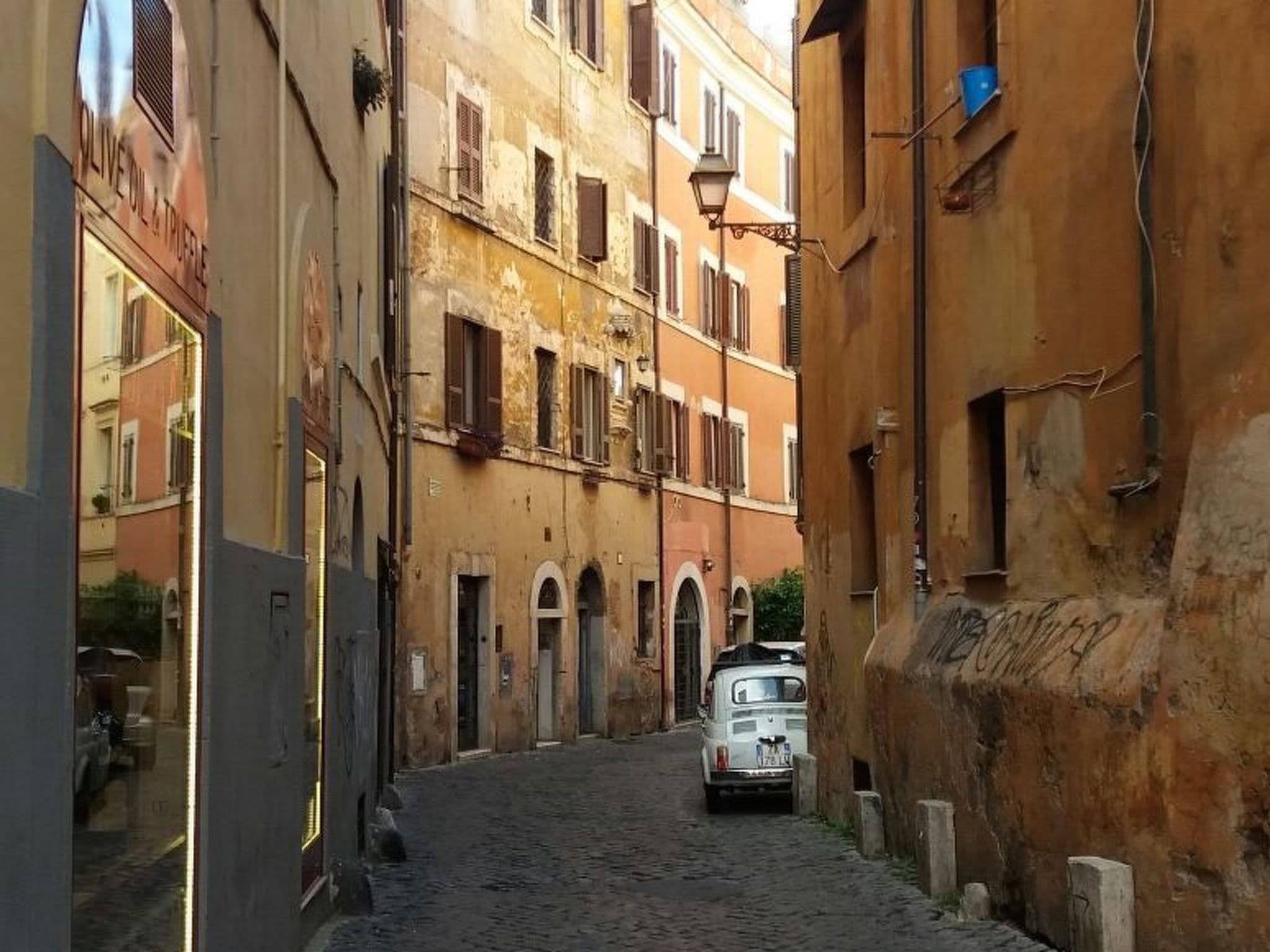 Gallery Image 19